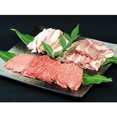【2022年7月下旬発送】飛騨牛5等級入り焼肉三点セット(計約750g)   　木立ミート