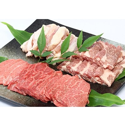 【2023年6月中旬発送】飛騨牛5等級入り焼肉三点セット(計約750g)   　木立ミート