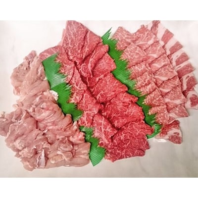 【2023年6月中旬発送】飛騨牛5等級入り焼肉三点セット(計約750g)   　木立ミート