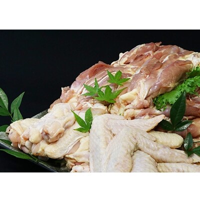 奥美濃古地鶏雅セット(計約4kg)