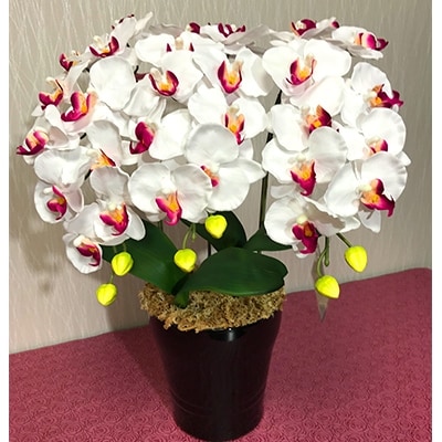 光触媒造花胡蝶蘭　3本立(ホワイトピンク)