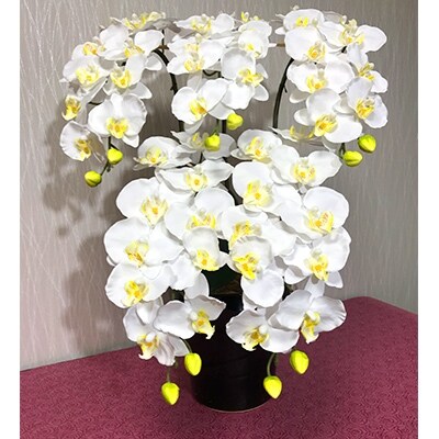 光触媒造花胡蝶蘭 5本立(ホワイトイエロー)