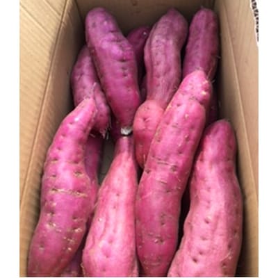 水軒金時(さつまいも)　2Lサイズ(5kg)