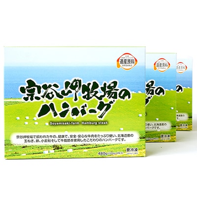 【稚内ブランド認定品】宗谷岬牧場のハンバーグ　120g4枚入×3箱(合計12枚)