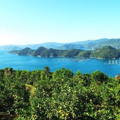 愛媛の高級柑橘の代名詞!「せとか」約3kg入(化粧箱入)
