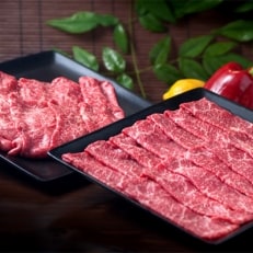 絶品!佐賀牛ももスライス　600g