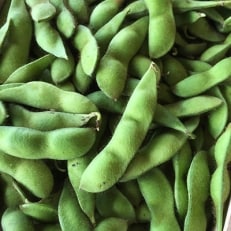 筑前クロダマルの枝付枝豆　約4kg　