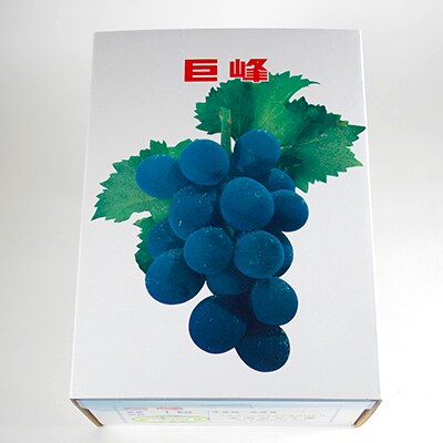 風和里しばやまがお届けする巨峰箱(1kg詰)