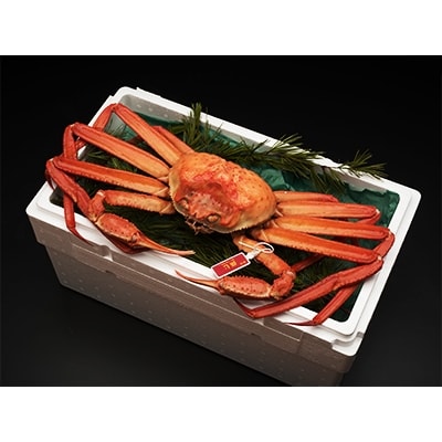 【海外輸入】 新湊産紅ズワイガニ・孫七タグ付き(約800g) | 富山県射水市 ドラゴンボールカード