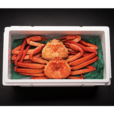 新湊産紅ズワイガニ・孫七タグ付き(約1kg×2尾) | 富山県射水市