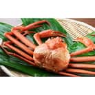 新湊産紅ズワイガニ(中サイズ約600g)