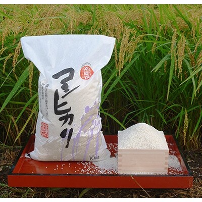 【平成30年産】続・日本の米づくり100選 白桝産コシヒカリ(精米)10kg【11月発送】