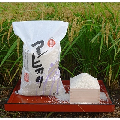【平成30年産】続・日本の米づくり100選選定 白桝産コシヒカリ(精米)10kg【12月発送】