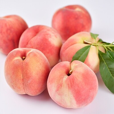 桃 あかつき 16個セット お礼品詳細 ふるさと納税なら さとふる