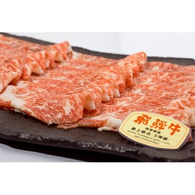 店主こだわり雌牛 飛騨牛　A5等級　切り落とし　約550g【ミートショップみかど】