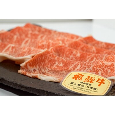 店主こだわり雌牛 飛騨牛　A5等級　ロース　すき焼き用　約800g【ミートショップみかど】