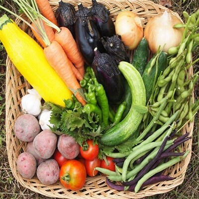 農薬、化学肥料、家畜肥料不使用　根っこ農園　野菜たんのうセット