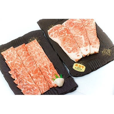 店主こだわり雌牛飛騨牛A5等級ステーキ約200g×3枚&焼き肉約600g×2【ミートショップみかど】