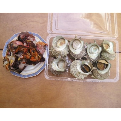 【伊豆の恵み2種　Aセット】ボイルサザエ・味噌汁用カット伊勢海老