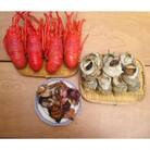 【伊豆の恵み4品(3種)　Eセット】ボイルサザエ・味噌汁用カット伊勢海老・蒸し伊勢海老