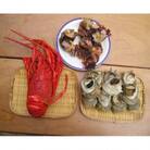 【伊豆の恵み4品(3種)　Fセット】ボイルサザエ・味噌汁用カット伊勢海老・蒸し特大伊勢海老