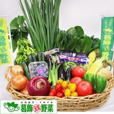 【夏野菜】都内産「葛飾元気野菜」詰合せ ＜旬な新鮮野菜10～13種類程度＞