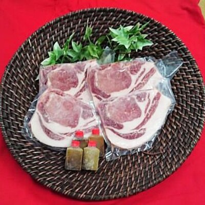 【和歌山ブランド】イブ美豚　ステーキ4枚セット