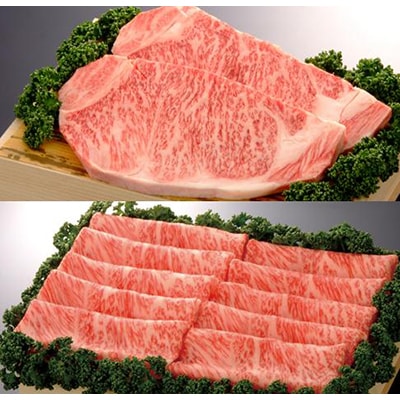 佐賀牛ロースステーキ200g×2・ローススライス500g(A0212-G01)