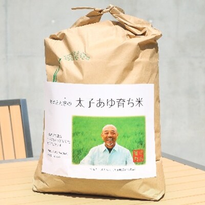 令和元年産 太子あゆ育ち米(にこまる12kg)【精米】