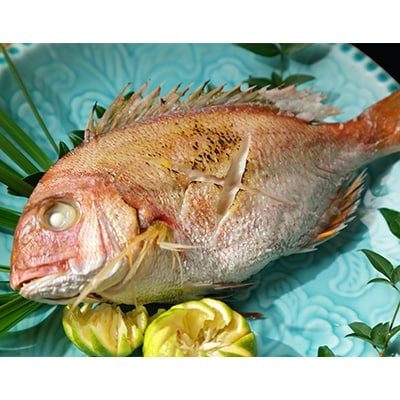 有明旬魚(有明海産、旬の真鯛の塩焼き150g～200g×5匹)【数量限定】