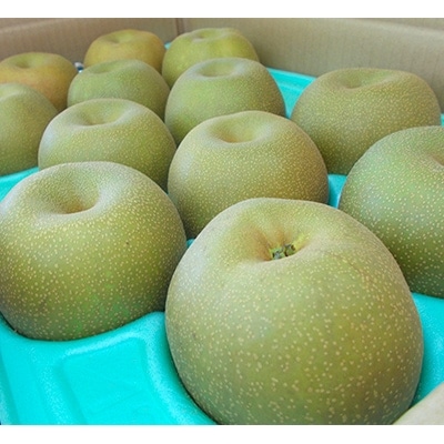 「地元 水郷梨」新高梨1箱　約5Kg(10～12玉)