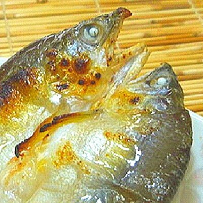 【紀州和歌山】鮎の一夜干 大人気15枚セット