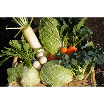 伊豆メディカル農園の健康野菜セット