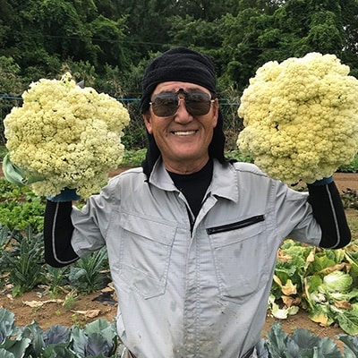 伊豆メディカル農園の健康野菜セット
