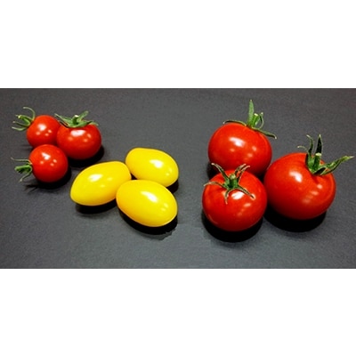 フルーツトマト「太陽のめぐみ」2kg