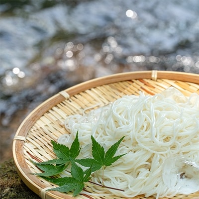 名水の里・島原手延そうめん(50g×40束)