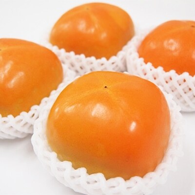 はしもと産　種なし柿　3L×12個