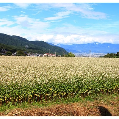 青木村限定タチアカネ蕎麦粉(約500g×3袋)