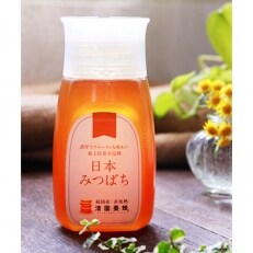 【300g　チューブ入り】　日本蜜蜂はちみつ