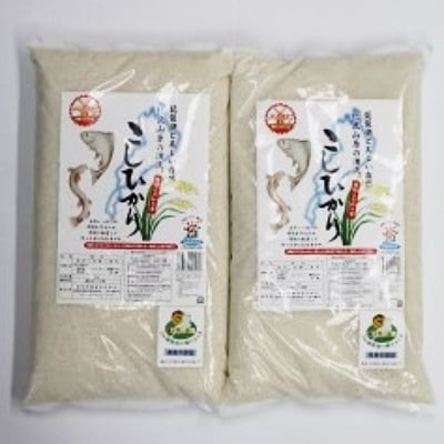 【特別栽培米】高島市新旭産　滋賀県認証環境こだわり米　コシヒカリ白米6kg(3kg×2)