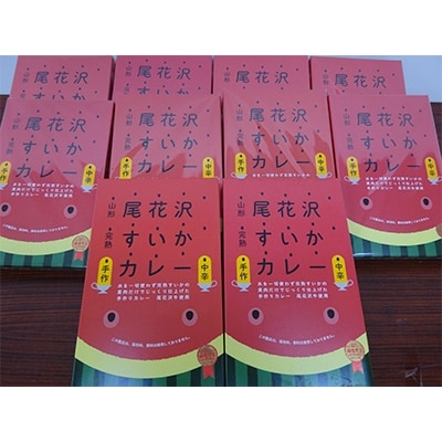 完熟スイカでの水分で作ったこだわり尾花沢スイカレトルトカレー | ふるさと納税のお礼品
