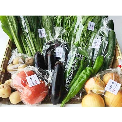 旬の京野菜 Bセット(全12回届け)