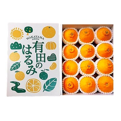 【先行受付】【まごころ手選別】和歌山県産　有田のはるみ　化粧箱入り　Sサイズ　12個入り