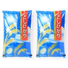 千葉県香取市産 100%コシヒカリ 10kg | ふるさと納税のお礼品