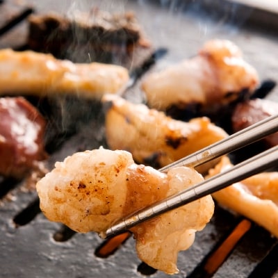ホルモン専門店のホルモン焼きセット(3人前)