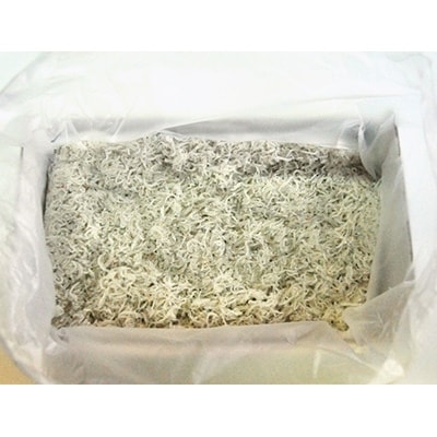 釜揚げしらす1kg