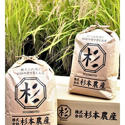 【2019年産】コシヒカリ 精米30kg(5kg×6袋)