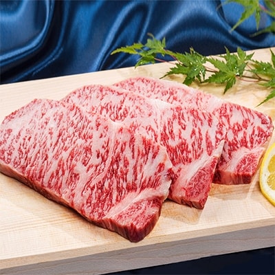 佐賀牛サーロインステーキ 200g×3枚+佐賀産和牛切り落とし500g