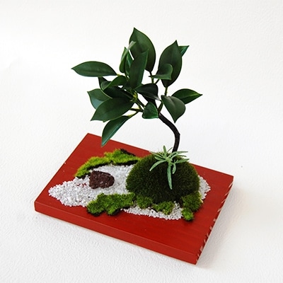 和モダン　創作　こけ玉BONSAI　「鎌倉赤」