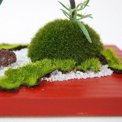 和モダン　創作　こけ玉BONSAI　「鎌倉赤」